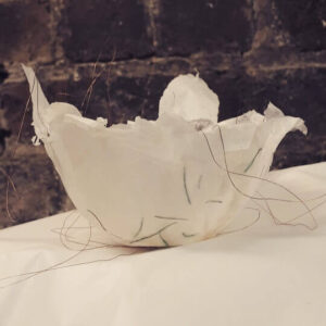 IMG_20181121_210020_285