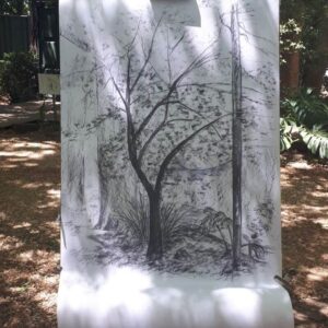 IMG_20190128_212434_321