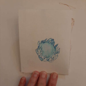 IMG_20200526_120227_495